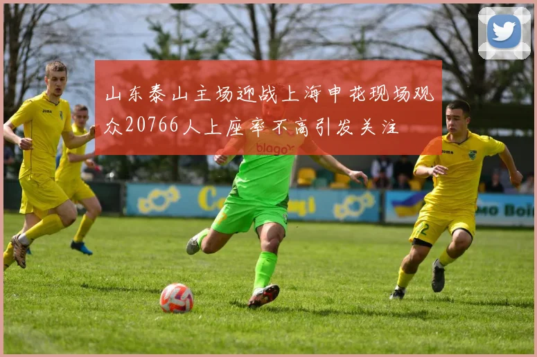 山东泰山主场迎战上海申花现场观众20766人上座率不高引发关注